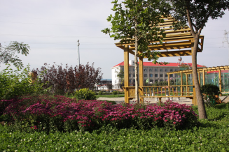 1605163513100484.png image.png